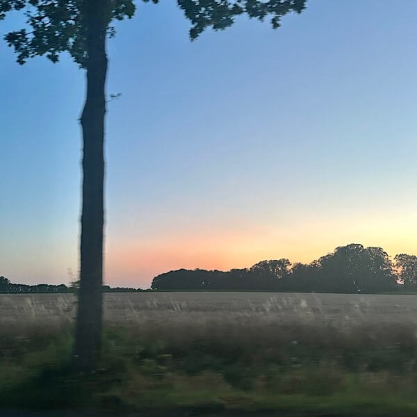Abendlicht neben einer Landstraße in Norddeutschland