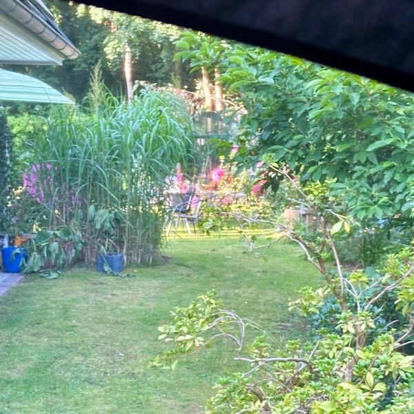 Blick in einen Garten aus einem Dachzelt.